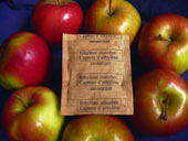 Sachets capteur d'éthylène